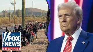 Democrats' true intentions about immigration 'exposed'