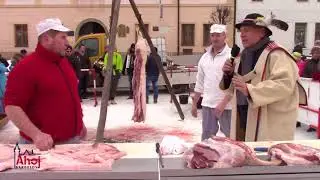 Vivodzeňe kačura v Bardejove po desiaty krát