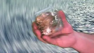 Foley Sounds Found Objects Household Items Music - audiovisual work