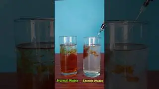 Science Experiment with Iodine vs Starch water 😮 | Iodine Test in Starch #experiment