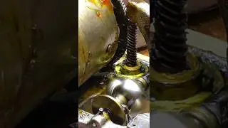 Gramophone motor running