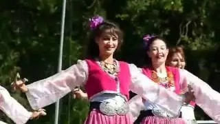 F&ecirc;te du Folklore et du sanglier