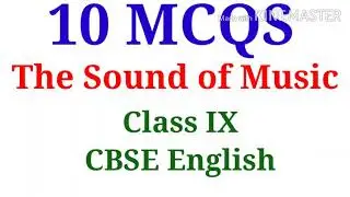 MCQS of the chapter 