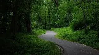 Exploring Beautiful Lake Red Rock In Iowa