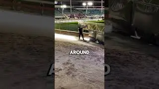 Greyhound Race Track 🐶😱