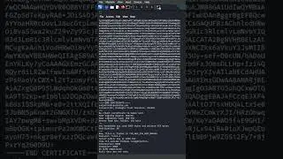 Kali Linux SSL Security Analysis 🔐| #cybersecurity #ethicalhacking