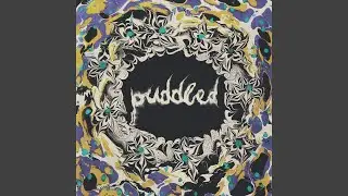 Bleed