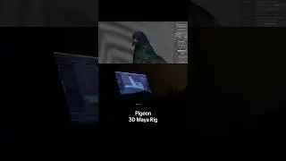 Pigeon 3D Rig in #Maya #MayaRigging #3DAnimation #CharacterRigging