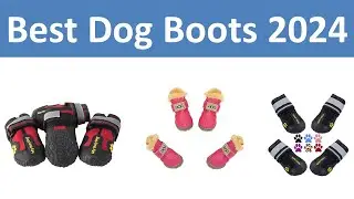 Top 5 Best Dog Boots in 2024