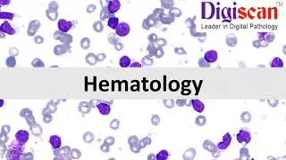 DIGISCAN PRESENTS: ADVANCED HEMATOLOGY MASTERCLASS