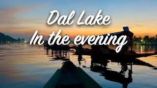 Dal Lake in the evening