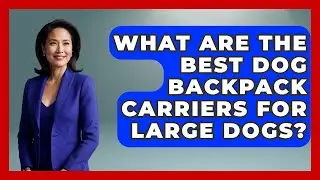 What Are The Best Dog Backpack Carriers For Large Dogs? - Exploring Campgrounds
