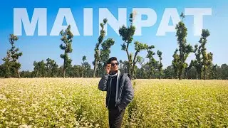 𝐓𝐚𝐮 की खेती ||क्या नज़ारा है मैनपाट का  |#mainpat #ambikapur #vlogs#mainpatexplore