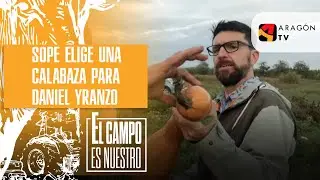 Sope elige una calabaza para Daniel Yranzo