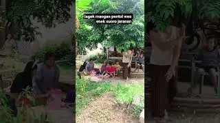 lagek mangan pentol lgsung joget jaranan