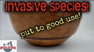 Watch The Magic: Crafting A Beautiful Bowl From Bradford Pear!