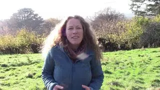 Plant Adaptations in Grassland (GCSE Geog/Bio/general interest)