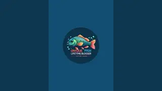 Unique Fish Lifetime Blogger is live!