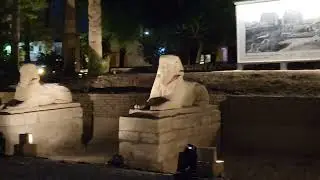 All&eacute;e des Sphinx - Louxor