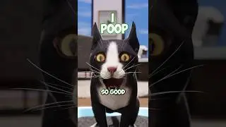 Почему кошки сходят с ума после того, как покакают 😹💨