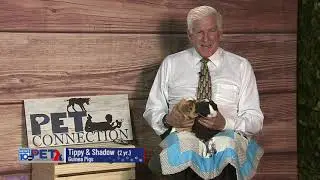 Pet Connection Tippy & Shadow 9-29-23