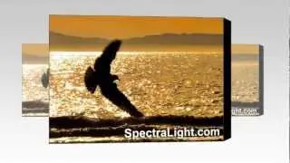 Artwork by North Ridgeville Photographer Mark Madere of SpectraLight Photography
