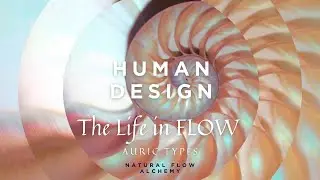 The Life in Flow - Series 1 - Chapter 3 - Auric Types