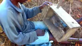 Esakaite vs Small animal (Ebebele)