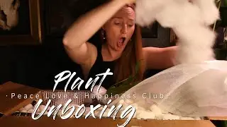 Plant Unboxing | Peace, Love & Happiness Club