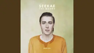 The Worry (Henrik Schwarz Remix)
