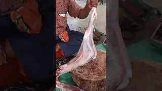 mutton cutting video #food #reels #trending #mutton #shorts