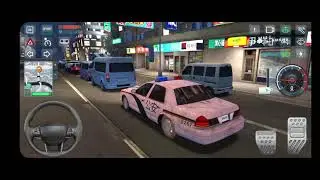 On the night shift - Police Sim 2022 Ovilex