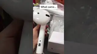 Be Careful What you WISH for Product review Funny Edition wish.com