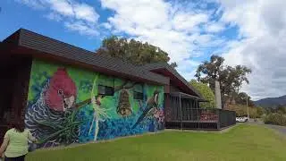 Alpine Escapes | Harrietville, Mt Beauty Lake & Mount Bogong Lookout