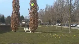 AerialFreaks HYPER 280 test fly at ROTOR LIVE 2015 by Lukas Dinger