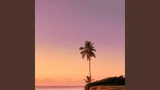 Gravity Flow