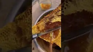 ngiler sama madu alami !!