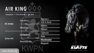 AIR KING v. Air Jordan Z x Contendro I x Heartbreaker - Hengste 2021 - www.klatte.de