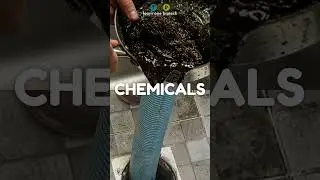 Septic Tank 101: Easy Tips to Avoid Clogs & Smells | T1B Septic Tank Cleaner