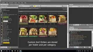 IM-005 The IMatch File Window: Custom Sort Orders