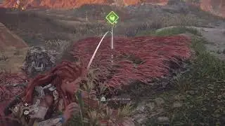 HZD - The Corrupted Zone