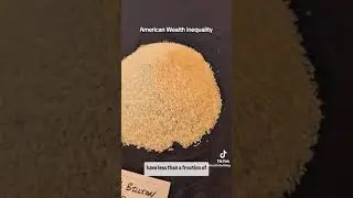 Trillionaires ,Billionaires ,Millionaires,WellOff,Workers ,Poor,Homeless,1 RICE GRAIN =200'000US$