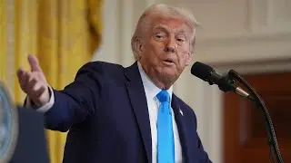 Trump brought our bulbs back