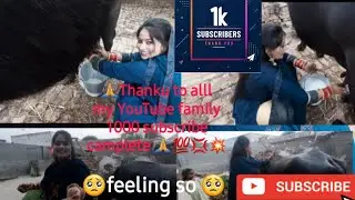 Buffalo Milking new video🤗Thanku so mach YouTube family 1k subscribe camplete 🙏आगे भी spot करे सब 🙏