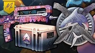 CS:GO Update: NEW Dreams Nightmares Case & Diamond Coin