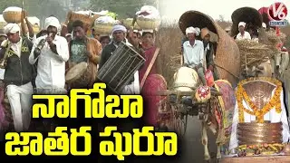 Tribal Festival Nagoba Jatara Begins Grandly | Adilabad | V6 News