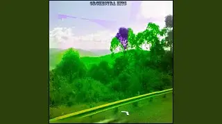 Wheels on Water