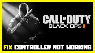 Как исправить ошибку &laquo;Контроллер/геймпад Call of Duty: Black Ops 2 не работает на ПК&raquo;