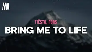 Tiësto, FORS - Bring Me To Life (Letra/Lyrics)