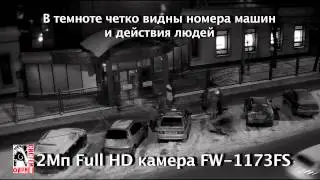 IP камера FlexWATCH FW1173-FS (Full HD, 2Мп)